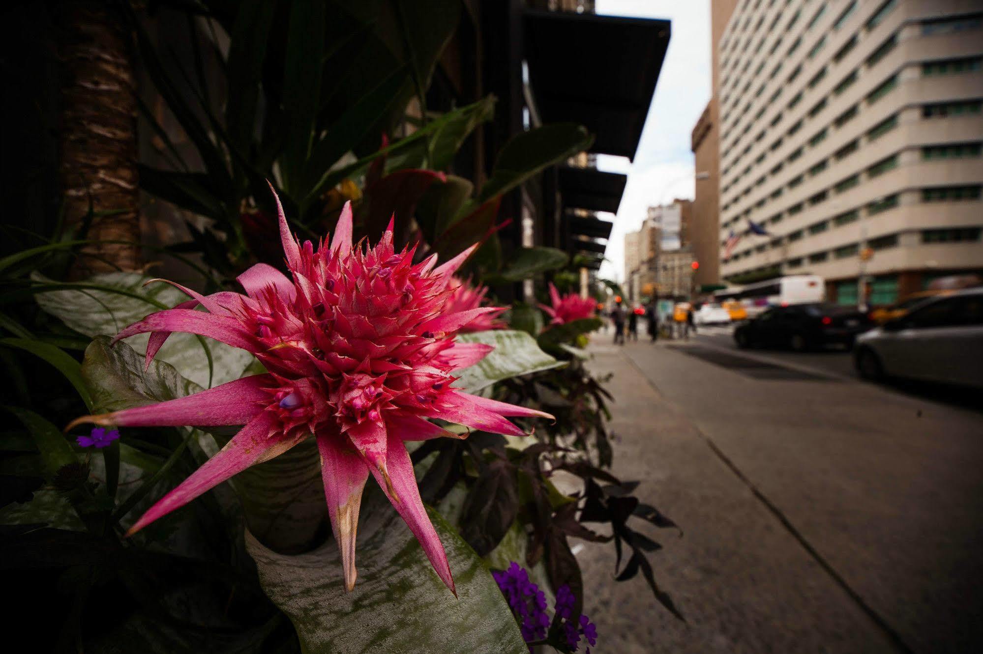 Duane Street Hotel Tribeca, Sonder By Marriott Bonvoy Nueva York Exterior foto